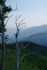 Prohlédnout dsc04990_t1.jpg