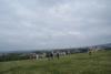 Prohlédnout dsc02575_t1.jpg