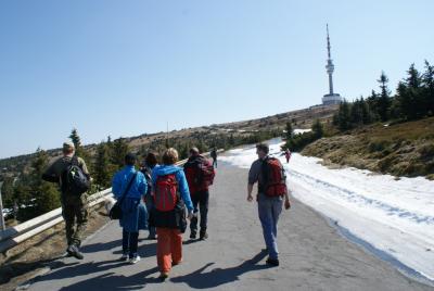 dsc03594.jpg