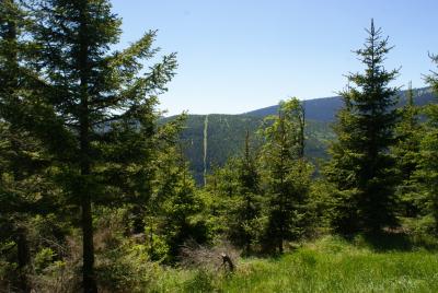 dsc04839.jpg