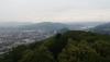 Prohlédnout img_20180618_113948_t1_1.jpg
