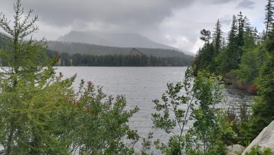 img_20180618_170611_1.jpg