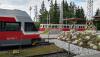 Prohlédnout img_20180619_061550_t1_1.jpg