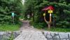 Prohlédnout img_20180619_062826_t1_1.jpg