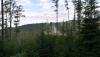 Prohlédnout img_20180619_063702_t1_1.jpg