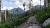 Prohlédnout img_20180619_064555_t1_1.jpg