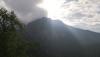 Prohlédnout img_20180619_072151_t1_1.jpg