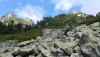 Prohlédnout img_20180619_073844_t1_1.jpg