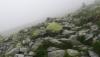 Prohlédnout img_20180619_095111_t1_1.jpg